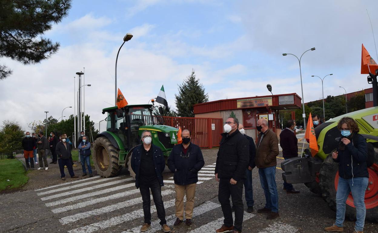 Los tabaqueros piden el apoyo de la sociedad extremeña «para no desaparecer»