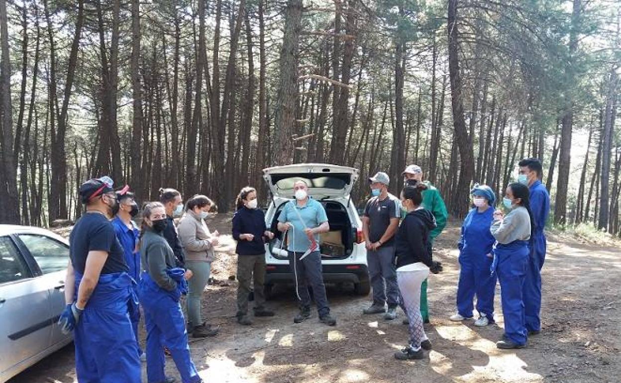 Imagen de los alumnos en el Pinar de Talayuela 