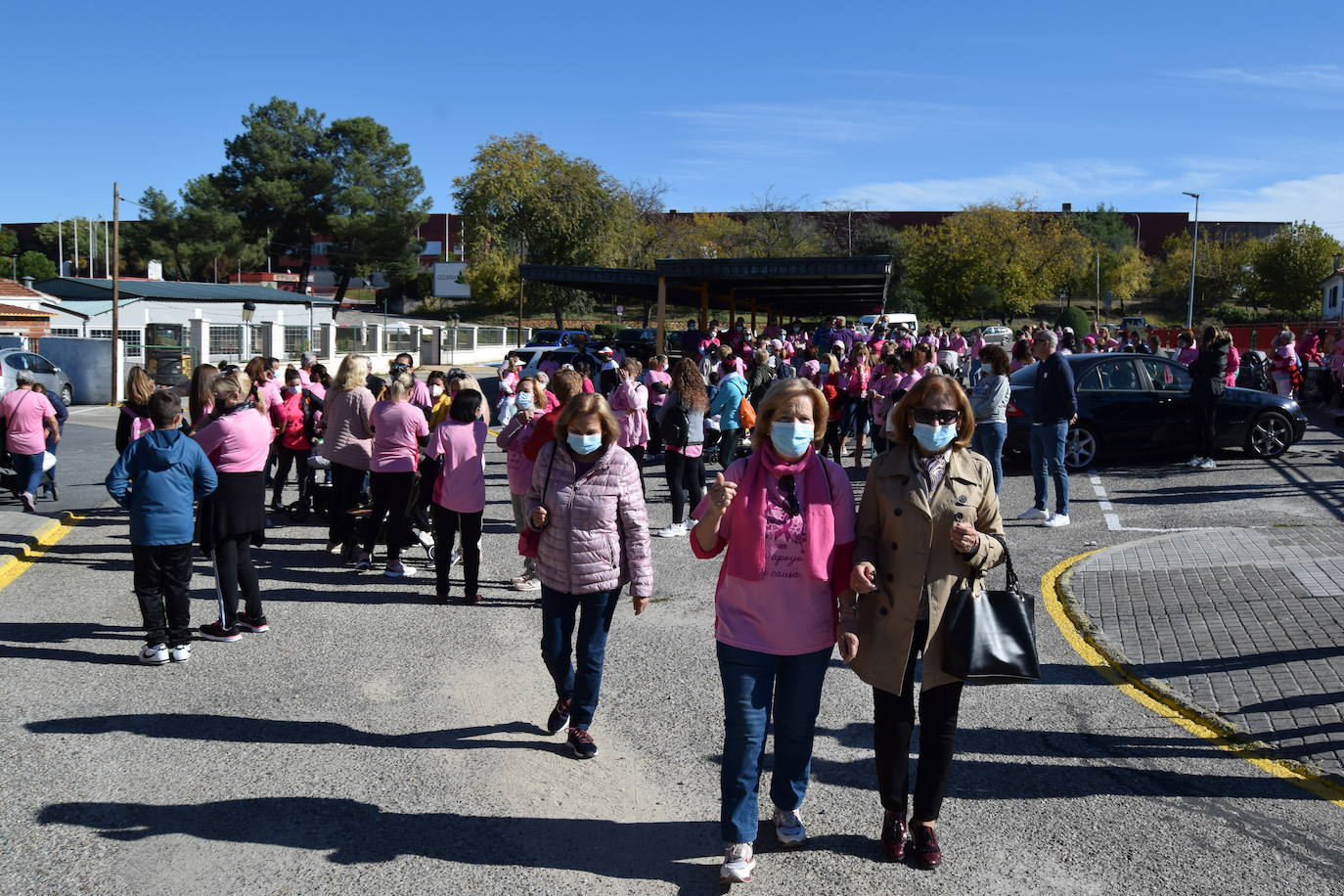 Fotos: Talayuela se vuelve a teñir de rosa