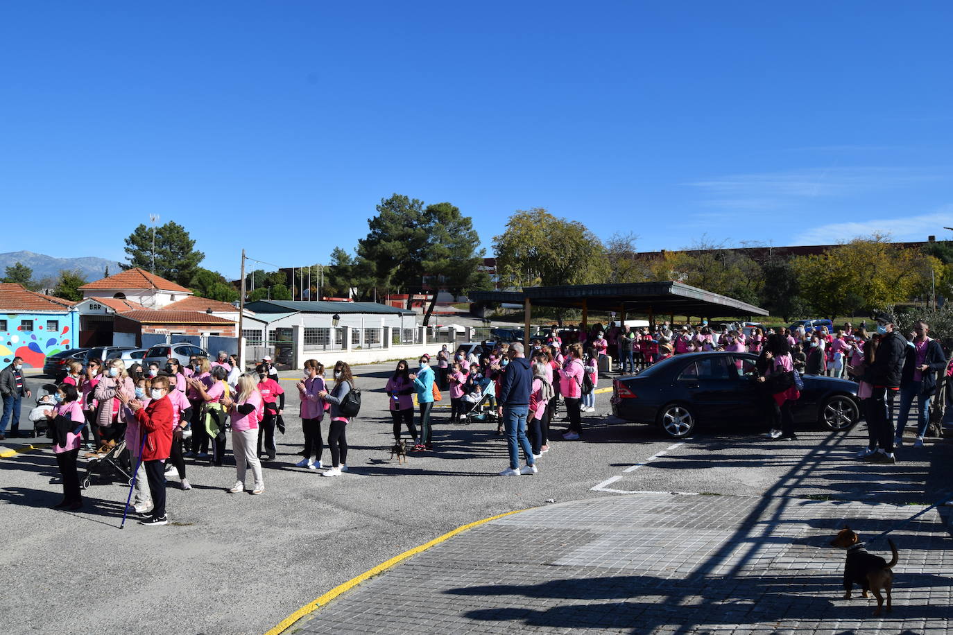 Fotos: Talayuela se vuelve a teñir de rosa