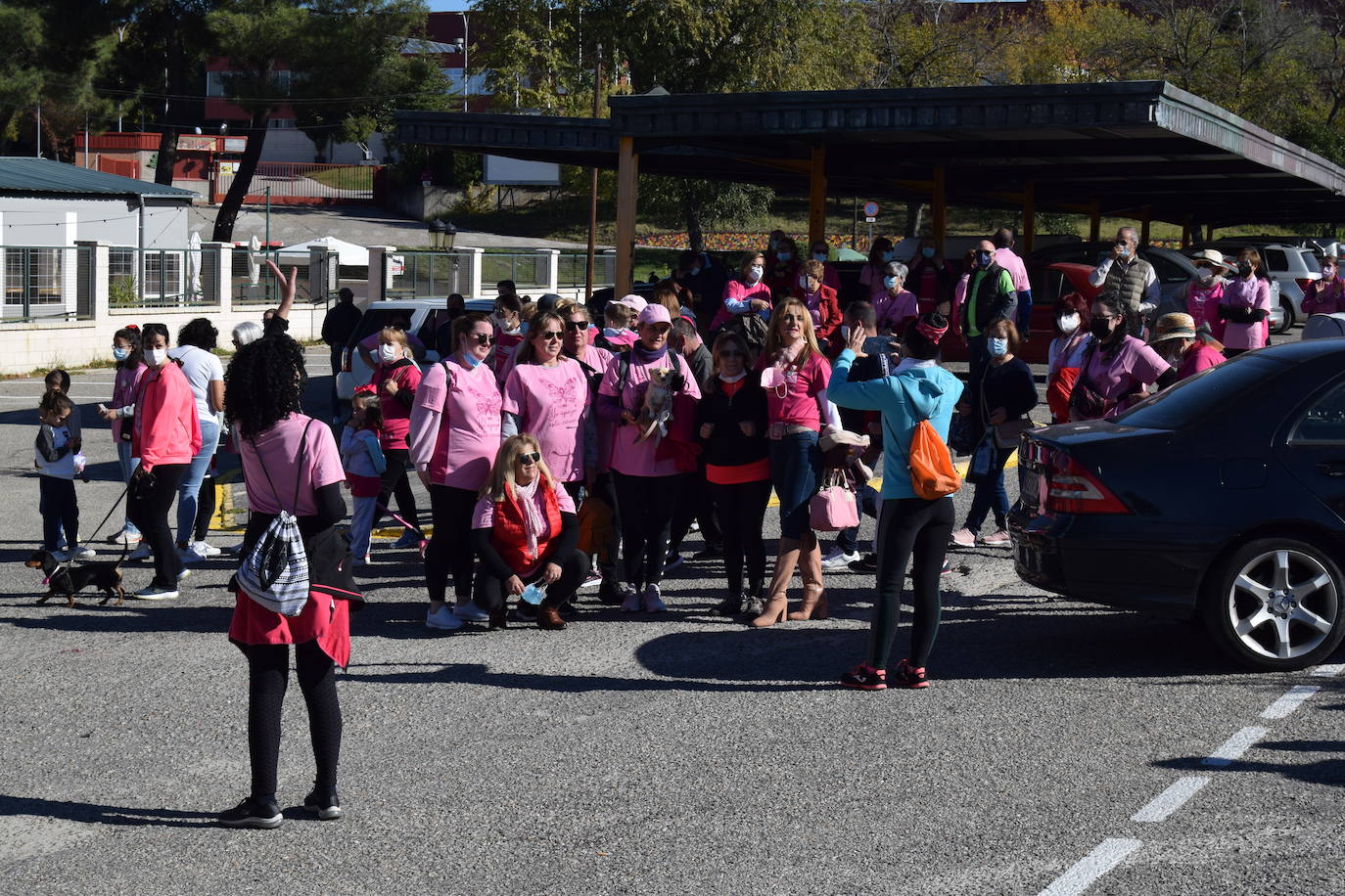 Fotos: Talayuela se vuelve a teñir de rosa