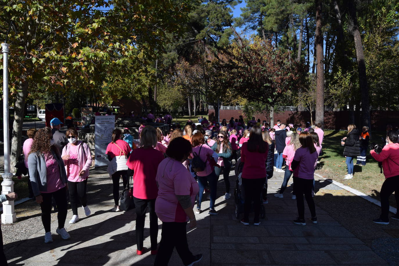 Fotos: Talayuela se vuelve a teñir de rosa