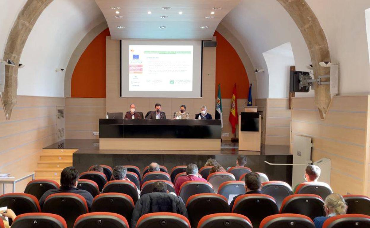 La Diputación avanza en la recogida de datos para poner en marcha la segunda fase del Plan de Movilidad Urbana Sostenible de la Red de Municipios Sostenibles de Cáceres
