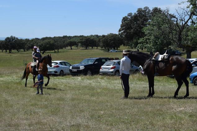 Fotos: Romería en honor a la Virgen de la Asunción, Talayuela 2022