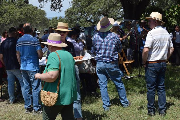 Fotos: Romería en honor a la Virgen de la Asunción, Talayuela 2022