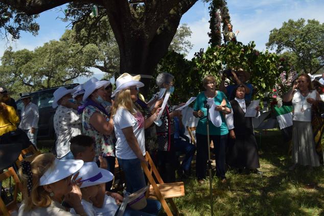 Fotos: Romería en honor a la Virgen de la Asunción, Talayuela 2022