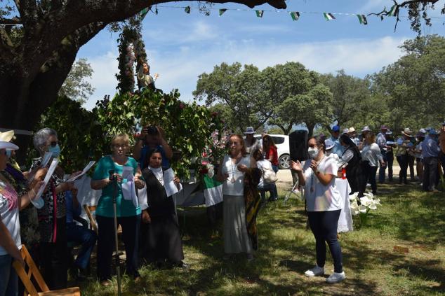 Fotos: Romería en honor a la Virgen de la Asunción, Talayuela 2022