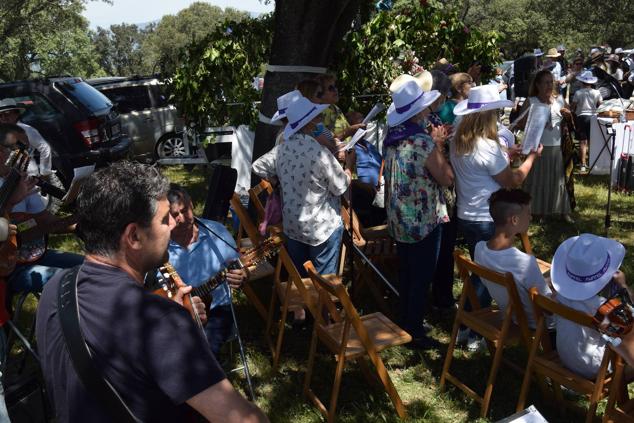Fotos: Romería en honor a la Virgen de la Asunción, Talayuela 2022