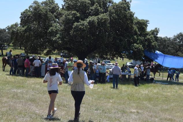 Fotos: Romería en honor a la Virgen de la Asunción, Talayuela 2022