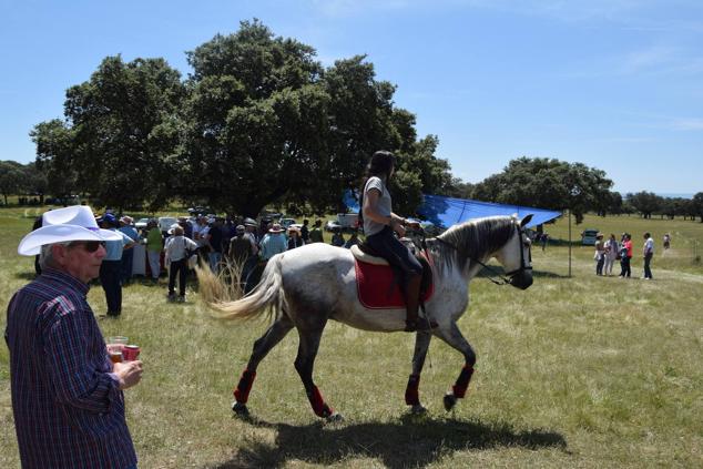 Fotos: Romería en honor a la Virgen de la Asunción, Talayuela 2022