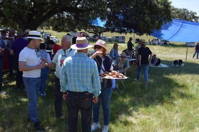 Fotos: Romería en honor a la Virgen de la Asunción, Talayuela 2022