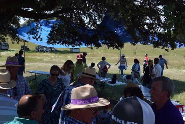 Fotos: Romería en honor a la Virgen de la Asunción, Talayuela 2022