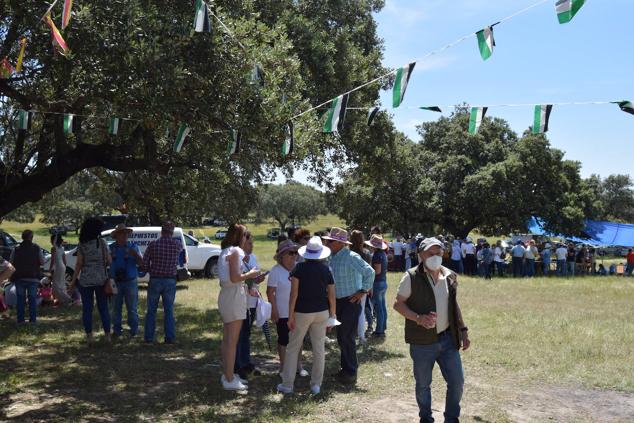 Fotos: Romería en honor a la Virgen de la Asunción, Talayuela 2022