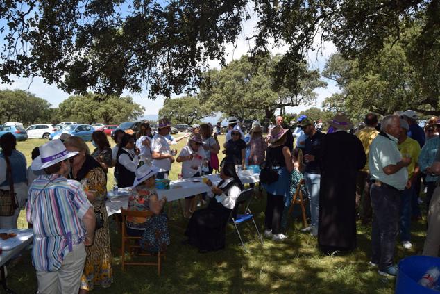 Fotos: Romería en honor a la Virgen de la Asunción, Talayuela 2022