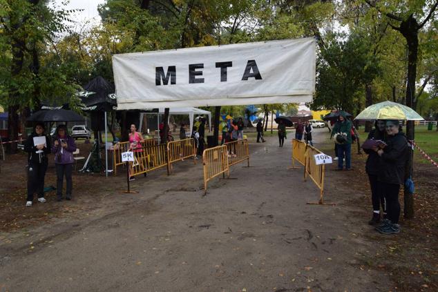 Fotos: Aned organiza la primera edición de la carrera popular 'Pinar de Talayuela'