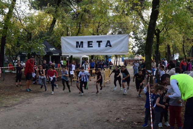 Fotos: Aned organiza la primera edición de la carrera popular 'Pinar de Talayuela'