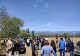 Las fundaciones Arraigo y Tomillo Tiétar crean un nuevo espacio colaborativo