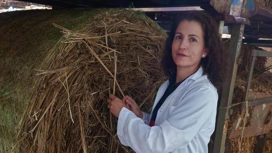 «Cetarsa vela por el mantenimiento agrícola de la zona, no solo del tabaco»