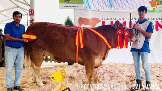 Los talayuelanos Hermanos Ruano se llevan el primer premio de la Feria de Salamanca