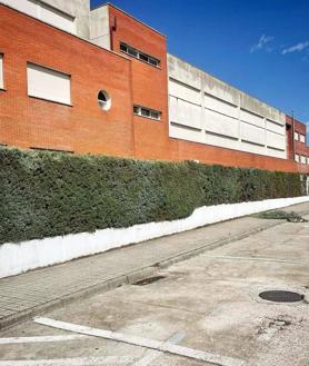 Imagen secundaria 2 - Talayuela se prepara para la vuelta a las aulas