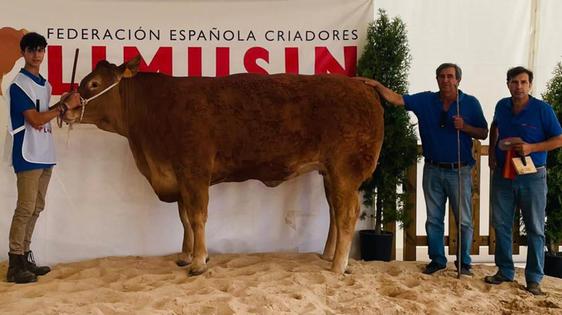 Julio Ruano: «Si pagaran el precio real no sacrificarían tantos animales»