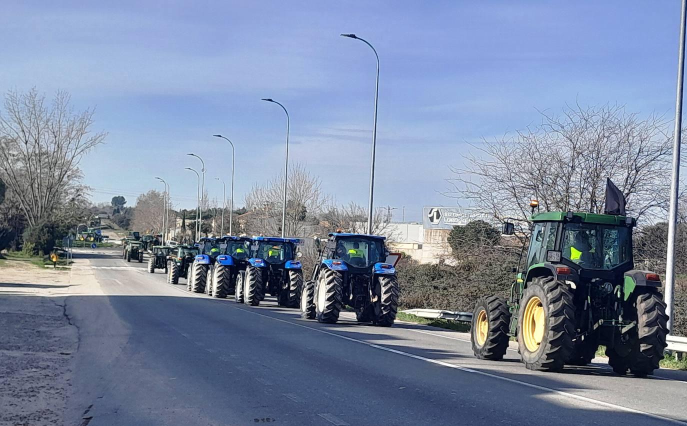 El Ayuntamiento de Talayuela apoya la defensa del campo