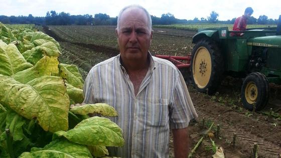 «La prohibición de nematicidas acabará con el cultivo del tabaco», dice Carlos Martín Cañadas