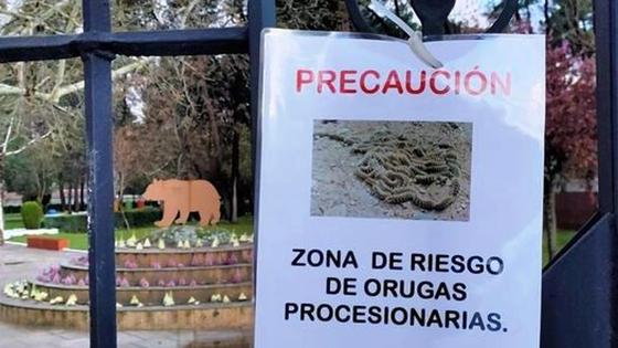 El Ayuntamiento advierte de la presencia de orugas procesionarias en el parque natural