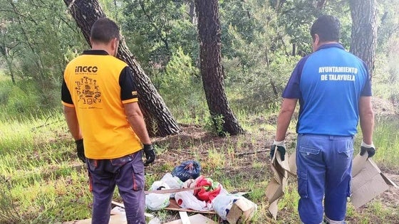 El pinar se vuelve a limpiar