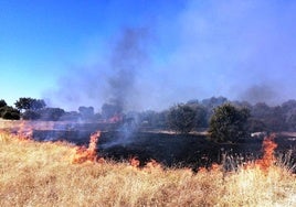 Los propietarios de solares urbanos tienen hasta el 1 de junio para su desbroce