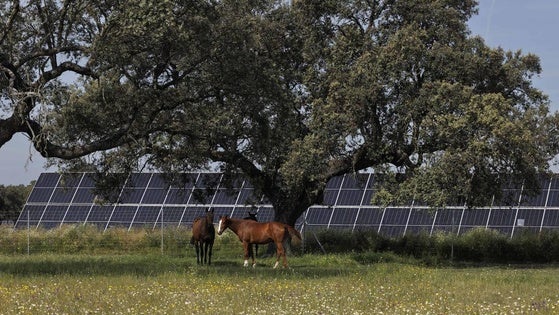 Statkraft publica 'Boreal', su primer Informe de Sostenibilidad en España