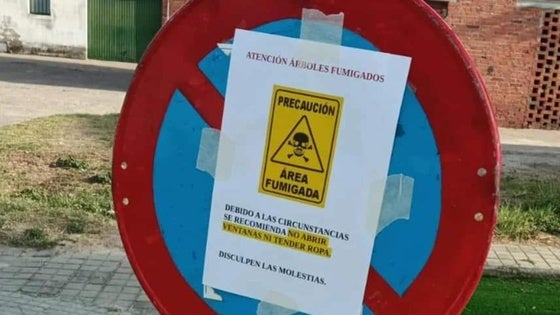 Varias calles serán sometidas a fumigación de árboles