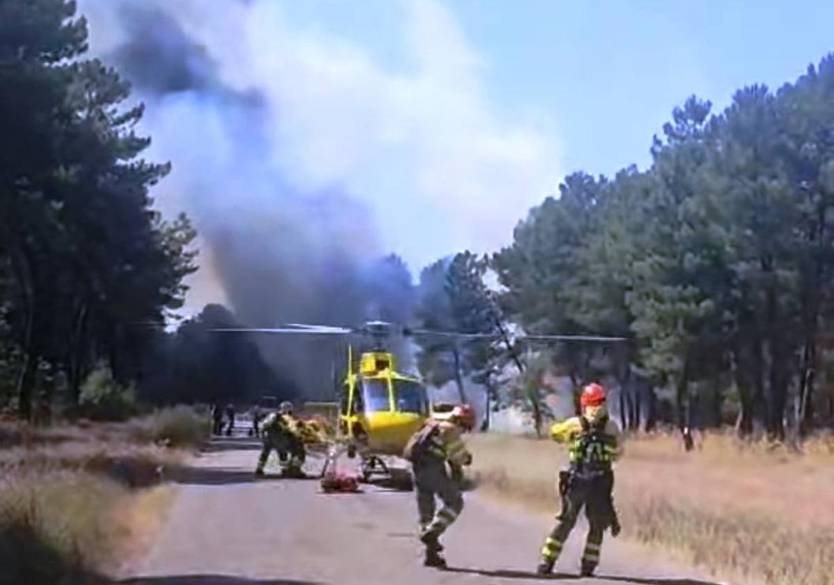 Se suceden varios incendios intencionados en zonas del pinar y el baldío