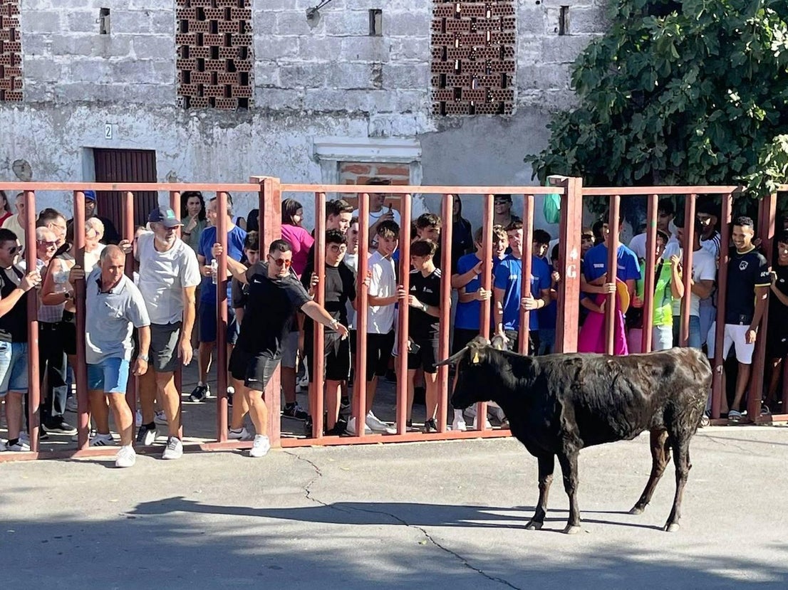 Talayuela despide unas animadas fiestas estivales