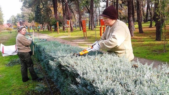 Cruz Roja convoca un nuevo curso, esta vez de jardinería