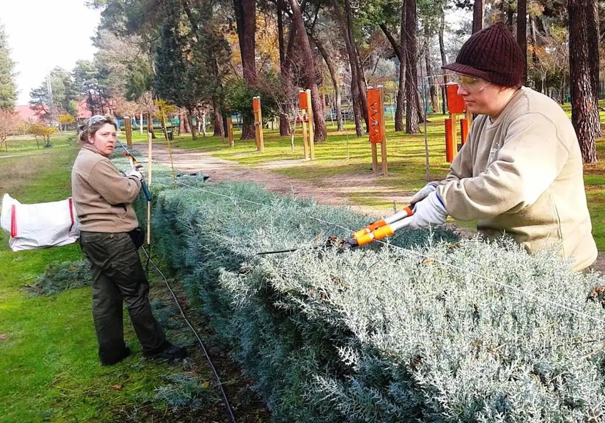 Cruz Roja convoca un nuevo curso, esta vez de jardinería