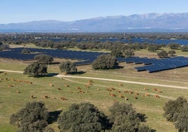 Imagen de la fotovoltaica Talayuela II.