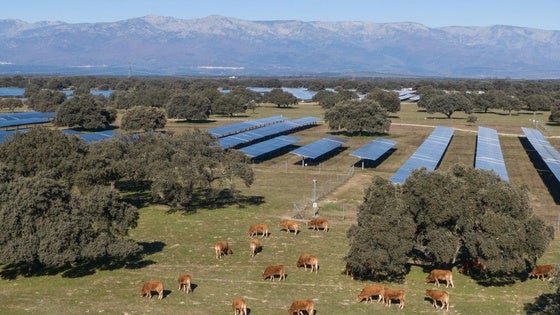 Statkraft recibe el premio Transit de la Unión Europea por las plantas solares con las que opera en Cádiz