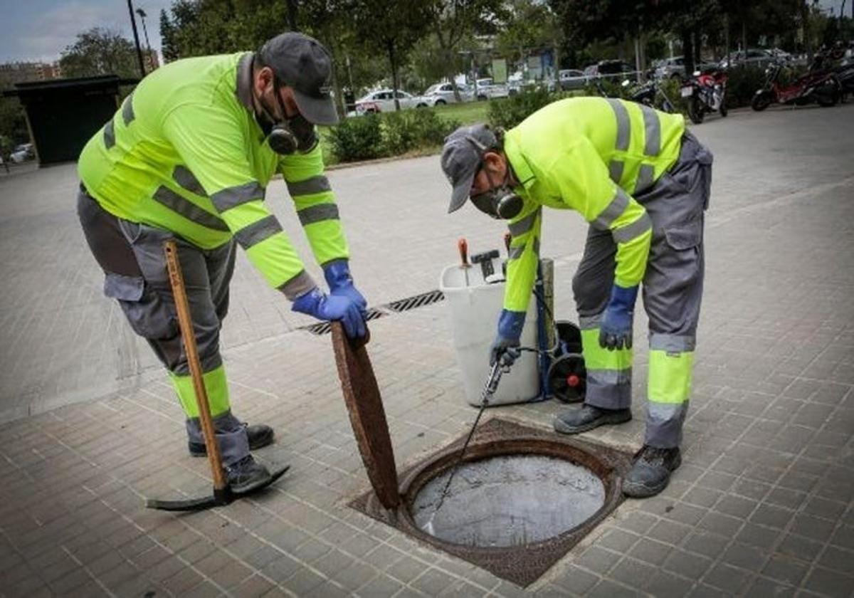 Operarios municipales en plena actuación