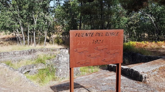 Este domingo se realiza una ruta senderista por el pinar