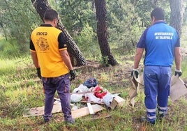 Basura acumulada en el pinar