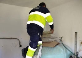 Trabajos realizados en la piscinas