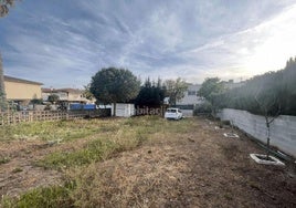 Se hace público el bando de limpieza y mantenimiento de solares