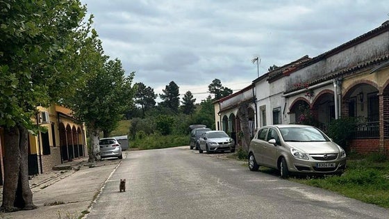 La petición de exclusión de la finca La Barquilla de la ZEPA cumple los requisitos