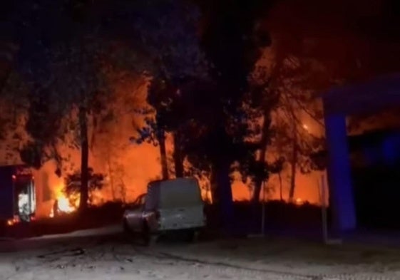 El pinar vuelve a sufrir un incendio un año después