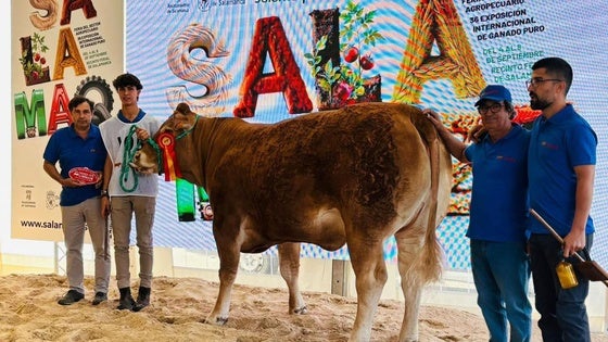 La Ganadería Hermanos Ruano triunfa en Salamanca