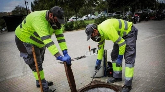 Comienzan las tareas de saneamiento en Talayuela y sus pedanías