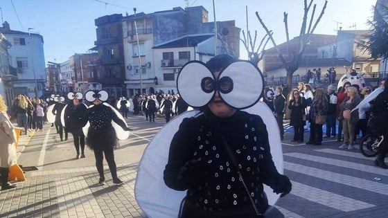 Sambamanía en comparsas y El Revoltijo en carrozas, triunfadores del Carnaval