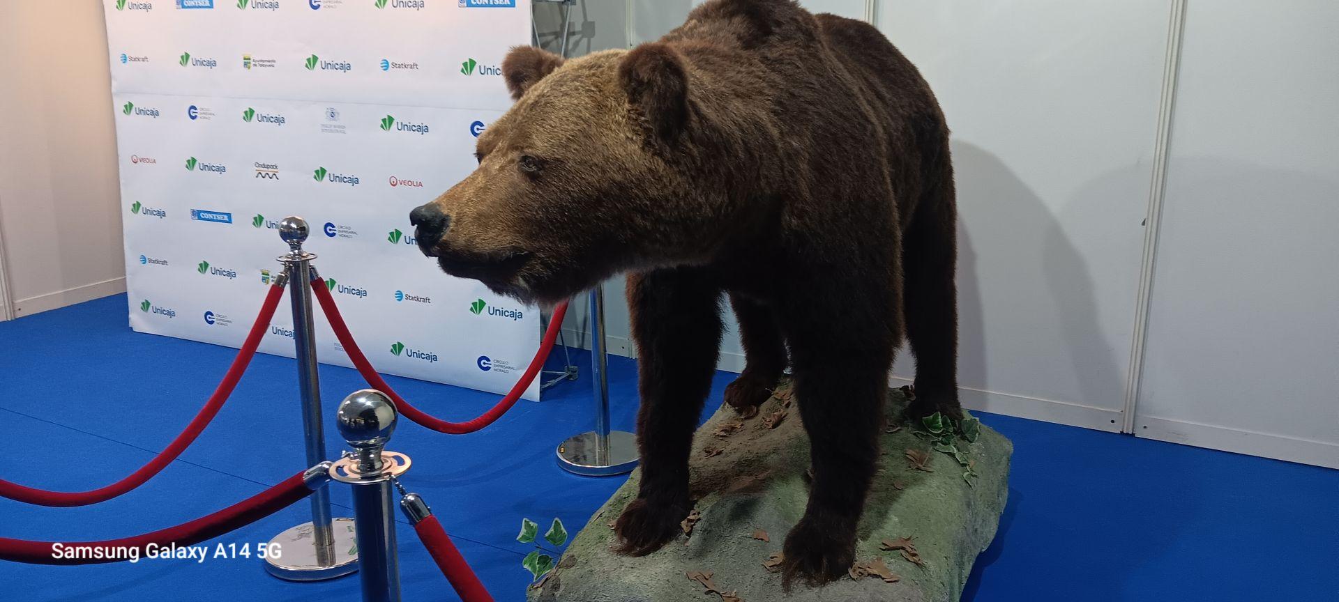 Talayuela recupera la Feria Multisectorial con buen acogida