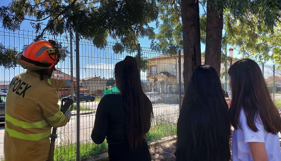 Lección de respeto al medio ambiente en el CP Juan Güell